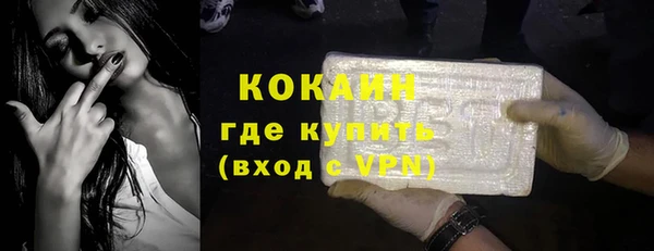 твердый Арсеньев
