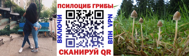 Галлюциногенные грибы мицелий  дарк нет телеграм  Макарьев 